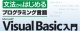 Visual Basic